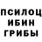 Галлюциногенные грибы мицелий Jerry tompson