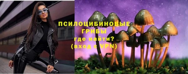 мет Нефтекумск