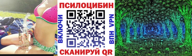 Псилоцибиновые грибы Psilocybine cubensis Сызрань